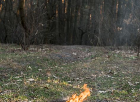 Шашлыки по-прежнему вне закона? В Сургуте — противопожарный режим