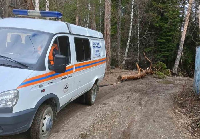 ​В Сургуте падает уровень реки, затопившей дачные участки