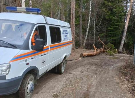 ​В Сургуте падает уровень реки, затопившей дачные участки