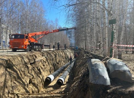 ​Инициатива концессионера позволит сократить вырубку деревьев в парке Победы Нижневартовска