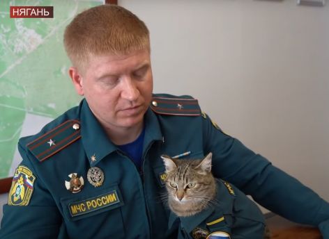 ​В Нягани работает пушистый спасатель МЧС