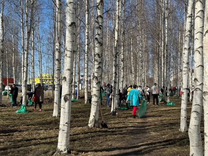​В Сургуте стартовали городские субботники