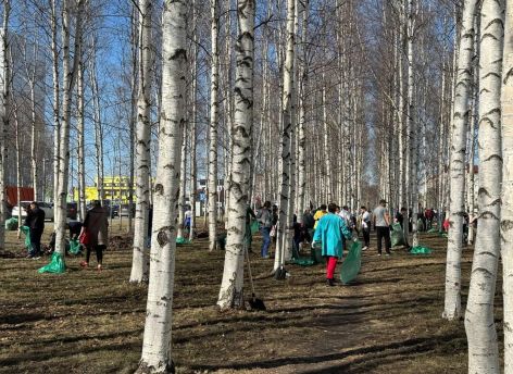 ​В Сургуте стартовали городские субботники