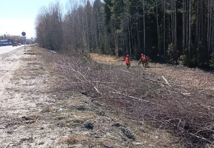 ​Власти ХМАО объяснили вырубку деревьев и кустарников рядом с реконструируемой трассой