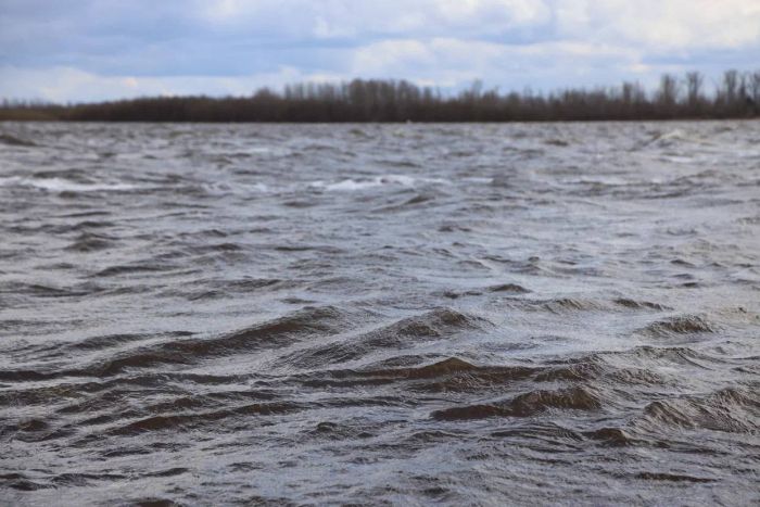 Уровень воды в Оби поднялся на 4 см за сутки