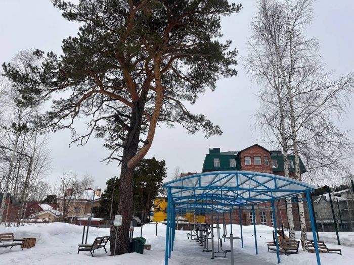 ​Парк на месте тубдиспансера в Сургуте проверили на безопасность
