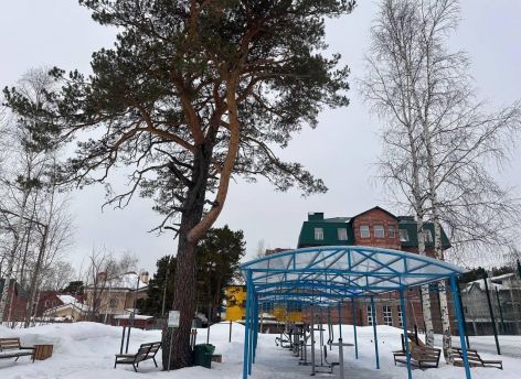 Парк на месте тубдиспансера в Сургуте проверили на безопасность