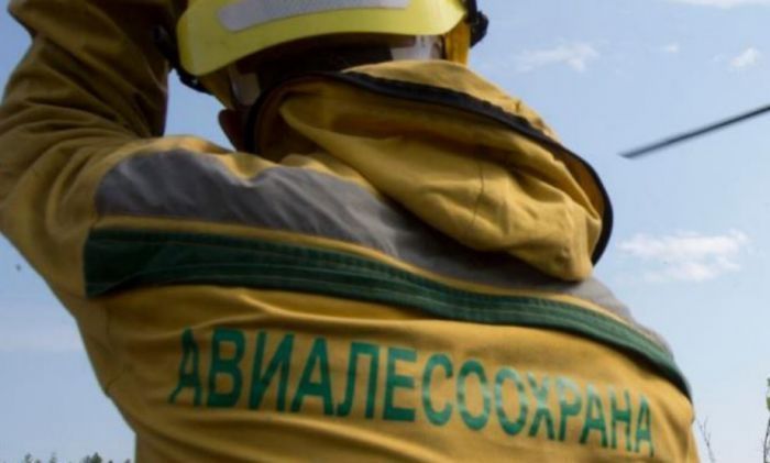 ​В Сургуте установили повышенный класс пожарной опасности на территории городских лесов
