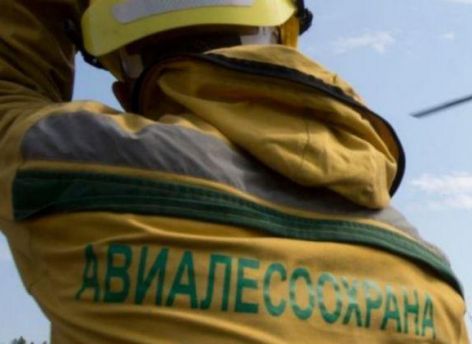 ​В Сургуте установили повышенный класс пожарной опасности на территории городских лесов