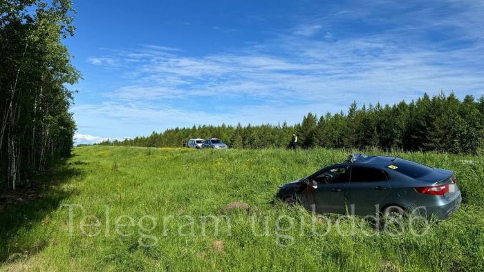 ​На югорской трассе столкнулись Kia и лось