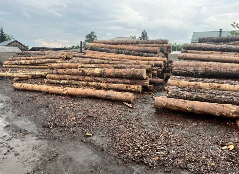 ​В Тюменской области накрыли канал контрабанды на 850 кубометров леса
