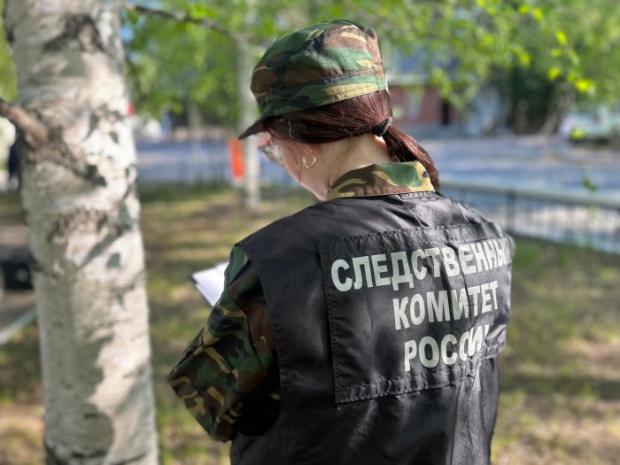 ​Четырехлетняя девочка упала из окна вместе с москитной сеткой в Сургуте