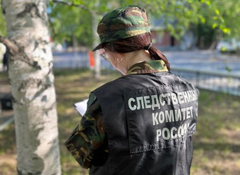 ​Четырехлетняя девочка упала из окна вместе с москитной сеткой в Сургуте