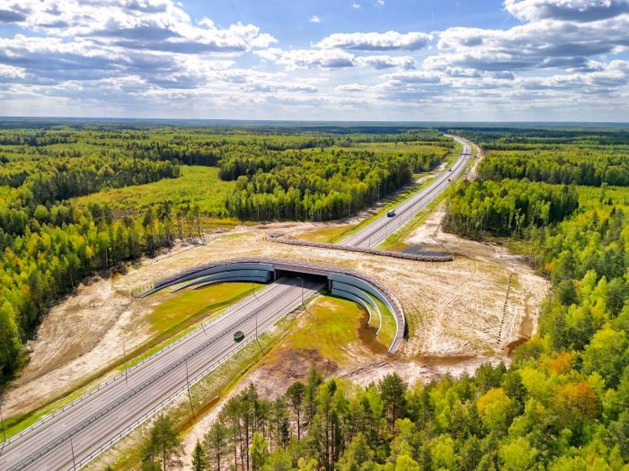 ​Трассу М-12 продлят от Екатеринбурга в этом году, а до Тюмени в 2025 году
