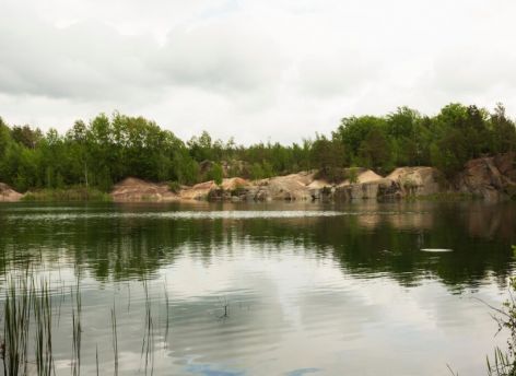 Прокуратура устанавливает причины массовой гибели рыбы в Сургутском водохранилище