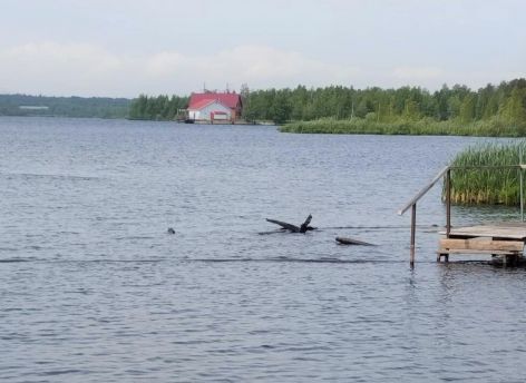 ​В Сургутской травмбольнице спасли пожилого мужчину, на которого наехала моторная лодка