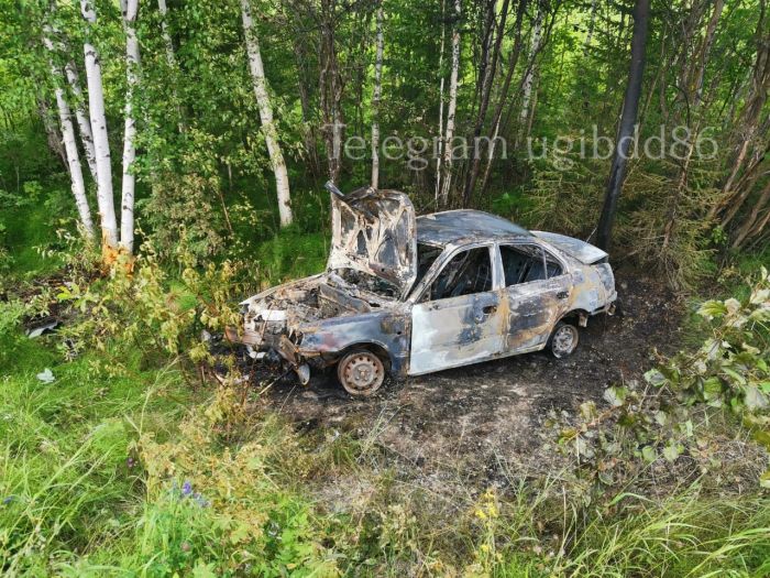 ​В ХМАО водитель улетел в кювет и врезался в дерево