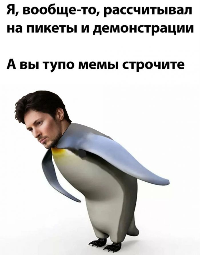 «Верни стену», «Мой подзащитный — многодетный отец», опасения за директора Toyota — подборка интернет-шуток об аресте Павле Дурова
