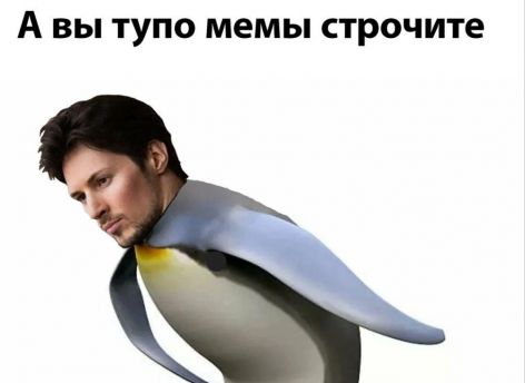 «Верни стену», «Мой подзащитный — многодетный отец», опасения за директора Toyota — подборка интернет-шуток об аресте Павле Дурова