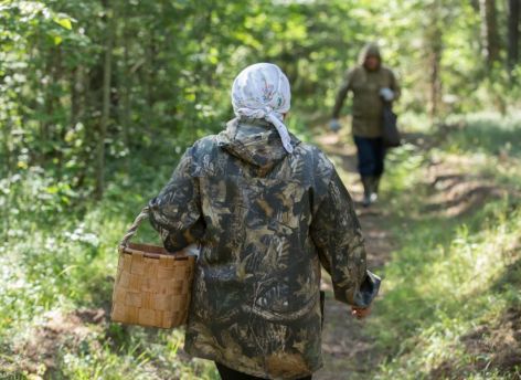 ​Спасатели нашли в лесу пропавших югорчанок