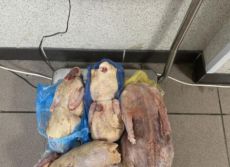 ​В аэропорту Сургута у мигрантов изъяли нелегальные продукты
