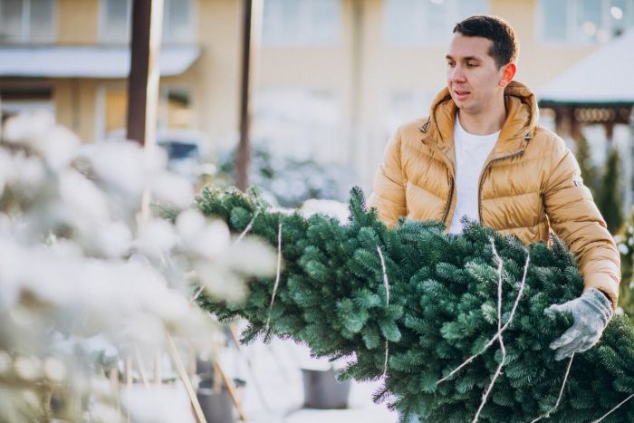 Югра готовится к Новому году ‒ закупает ели и другие хвойные деревья