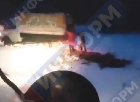 Сургутяне на «Газели» хотели выбросить мусор в лесу, но попались с поличным