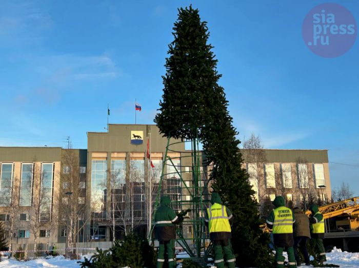 ​Праздник к нам приходит: в Сургуте устанавливают городскую елку