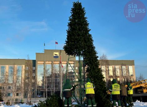 ​Праздник к нам приходит: в Сургуте устанавливают городскую елку