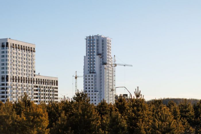 ​Жить в башне с видом на лес