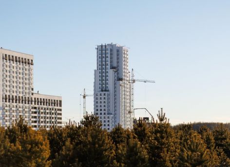 Жить в башне с видом на лес