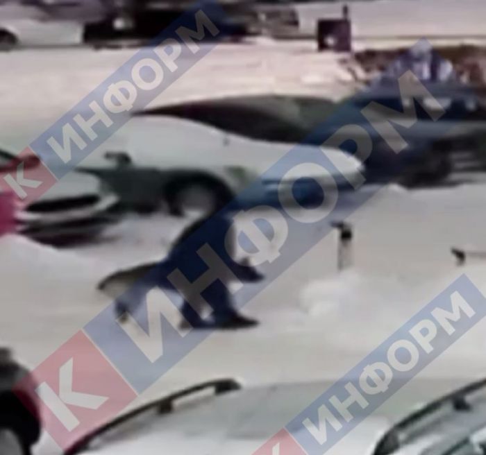 «Сердце кровью обливается»: в Сургуте ребенок избил собаку на глазах у очевидцев