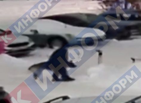 «Сердце кровью обливается»: в Сургуте ребенок избил собаку на глазах у очевидцев