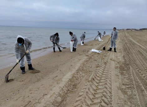 ​Госдума: мазутное пятно идет в сторону от Адлера и Сочи