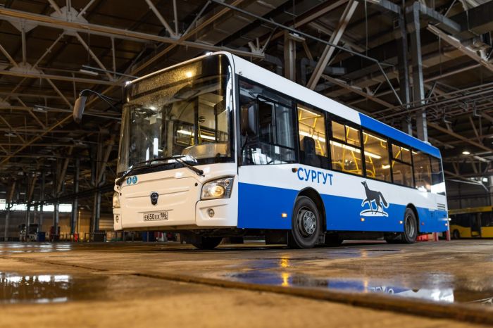 В Сургуте обновят дизайн автобусов