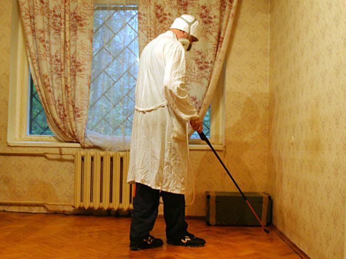 ​В Подмосковье жильцы дома травили тараканов, но убили соседку с кошкой