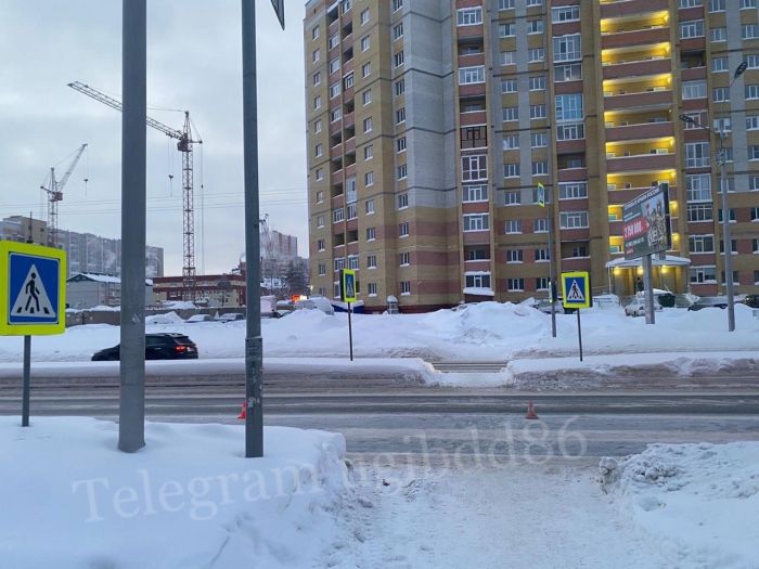 ​В Сургуте водитель Haval сбил 19-летнюю девушку