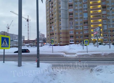 ​В Сургуте водитель Haval сбил 19-летнюю девушку