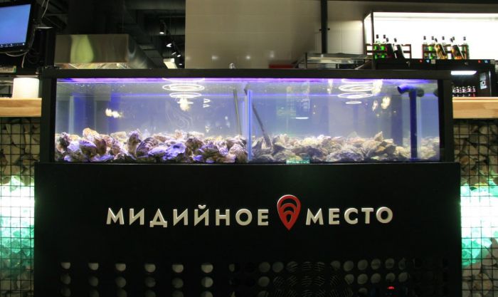 ​Вкус моря в Сургуте: обзор нового кафе «Мидийное место»