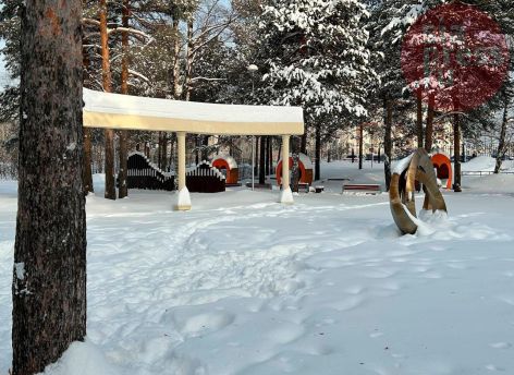 Зачем Сургуту скверы