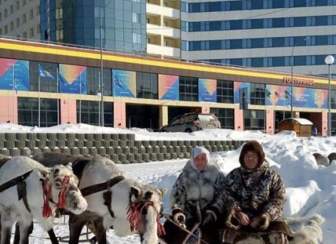 ​Гости фестиваля «Дух огня» познакомились с оленеводами Сургутского района