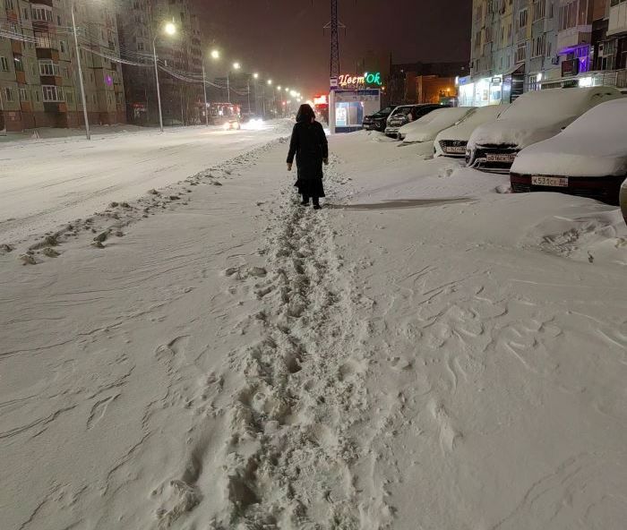 Планировка и наполнение жилых районов в Сургуте примитивно — оно не учитывает интересы ни женщин, ни детей, ни пенсионеров