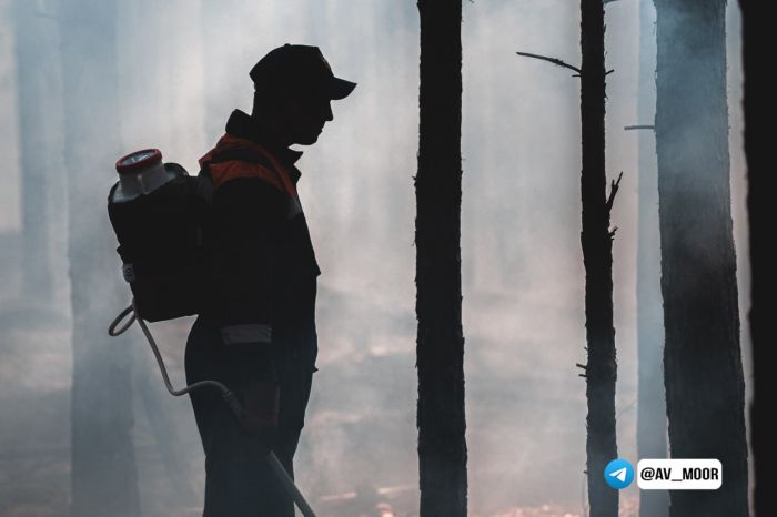 ​В Тюменской области с 1 апреля вводится пожароопасный сезон