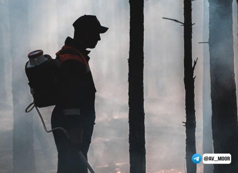 ​В Тюменской области с 1 апреля вводится пожароопасный сезон