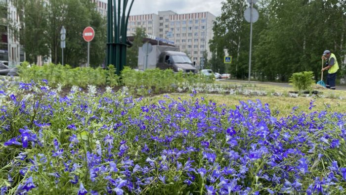 ​Сургут украсят 400 тысяч цветов – на это потратят 30 миллионов рублей