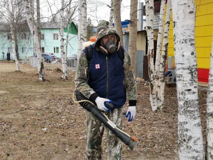 ​В Сургутском районе проведут масштабную борьбу с клещами, комарами и грызунами