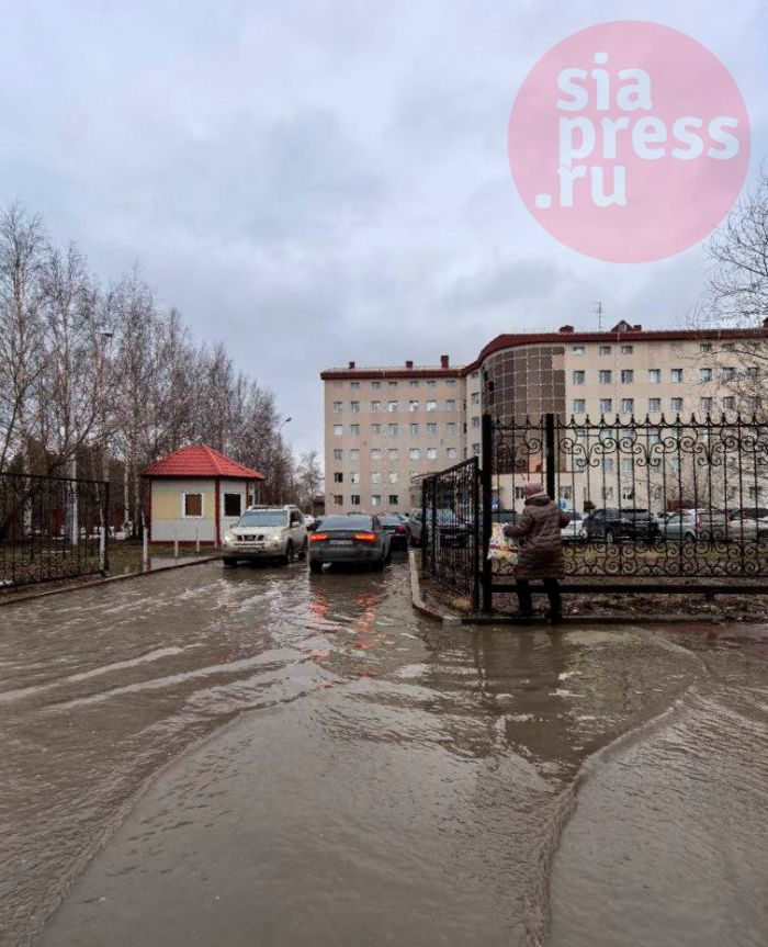 ​Сургутяне жалуются на лужу у травматологического центра. Пройти можно только по бордюру?