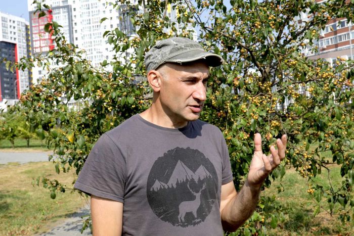 ​Глеб Кукуричкин: «Опасен не каждый борщевик: местные виды − часть природной флоры Югры»