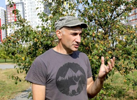 ​Глеб Кукуричкин: «Опасен не каждый борщевик: местные виды − часть природной флоры Югры»