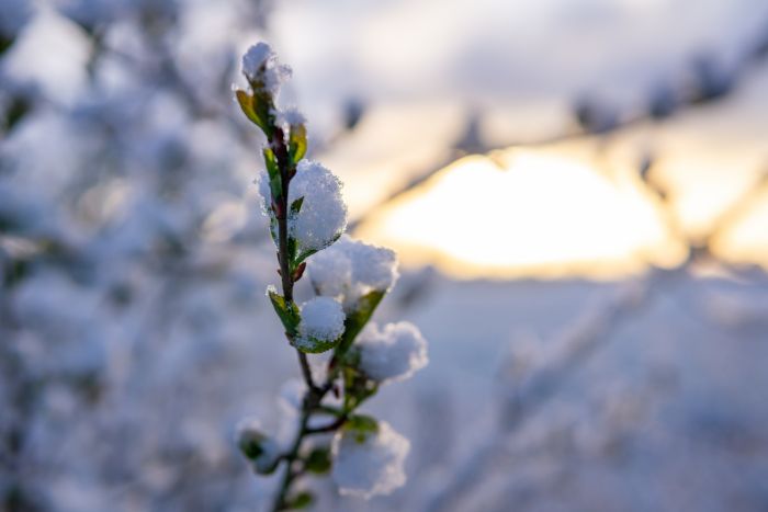 ​В Югре резко потеплеет до +22 °С – но не везде